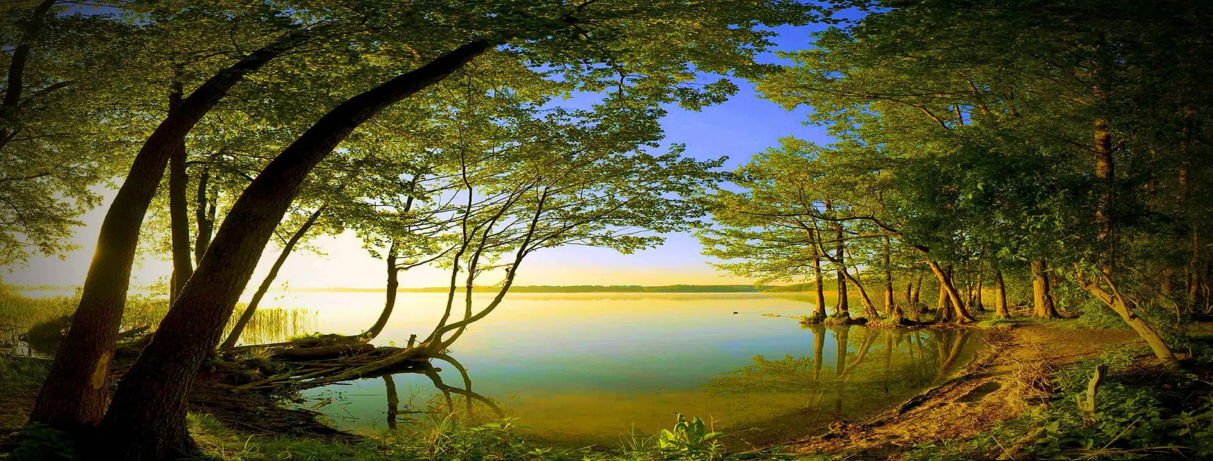 Image for Natures Beauty